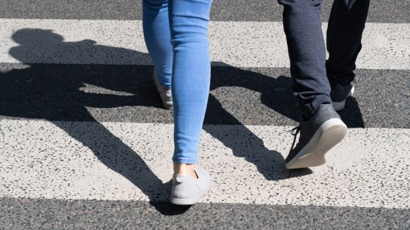 Zdarzenia z dziką zwierzyną na drogach powiatu piskiego wciąż rosną