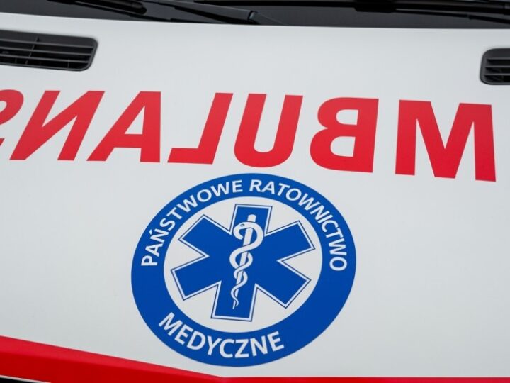 Właściciele psa oskarżeni o znęcanie się: metalowy łańcuch wrosło w szyję zwierzęcia