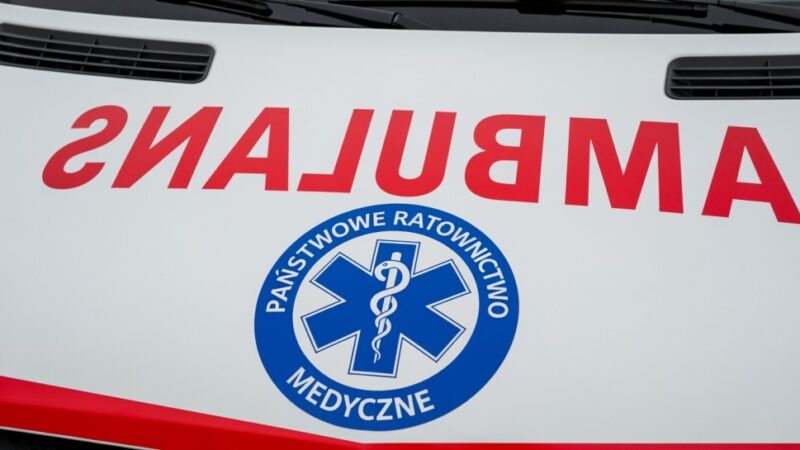 Właściciele psa oskarżeni o znęcanie się: metalowy łańcuch wrosło w szyję zwierzęcia