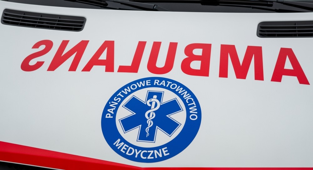 Właściciele psa oskarżeni o znęcanie się: metalowy łańcuch wrosło w szyję zwierzęcia