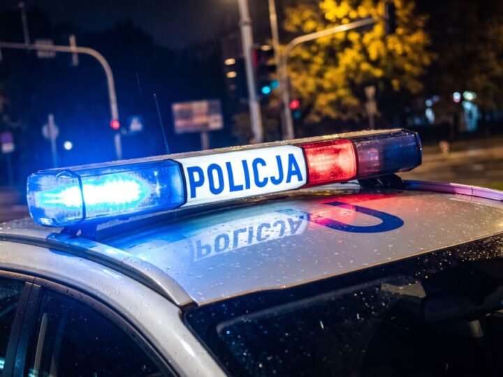 Kierowca kradzionego auta zatrzymany na granicy – odpowie za liczne przestępstwa