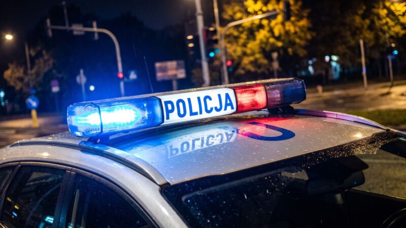 Kierowca kradzionego auta zatrzymany na granicy – odpowie za liczne przestępstwa