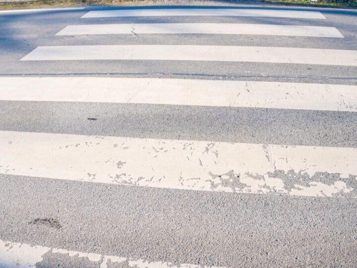 Zwierzęta na drogach powiatu piskiego: rosnące ryzyko kolizji z dziką fauną