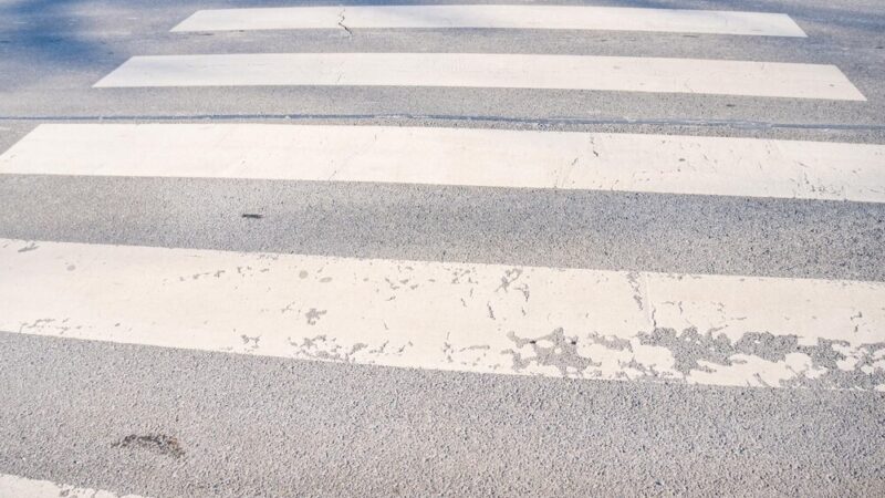 Zwierzęta na drogach powiatu piskiego: rosnące ryzyko kolizji z dziką fauną