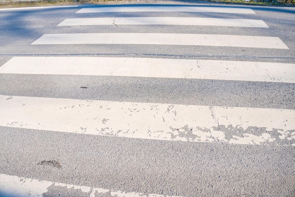 Zwierzęta na drogach powiatu piskiego: rosnące ryzyko kolizji z dziką fauną