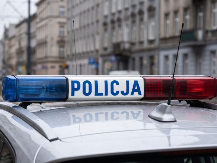 Ukradł hulajnogę i oszukał kobietę na bilety. 22-latek stanie przed sądem